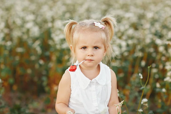 Little girl with two tails. portrait of a small charismatic girl. girl with candy — Stock Photo, Image