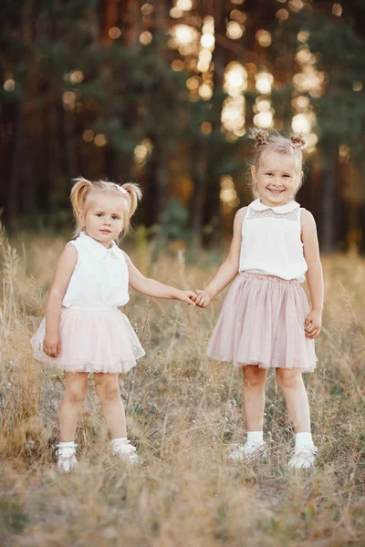 Dos hermanas pequeñas están cogidas de la mano en el parque. Niña con dos colas. Mejores amigos . —  Fotos de Stock