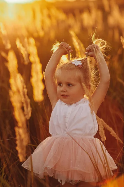 Симпатичная девочка 3-4 лет крупным планом. Летнее время. Детство. маленькая девочка с двумя хвостами. маленькая симпатичная девочка в поле — стоковое фото