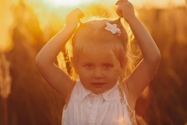 Krásná malá usměvavá dívka v věnce chamomillů v kvetoucích polích za slunného letního dne — Stock fotografie