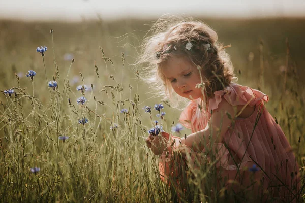 Mädchen auf einem Feld sammelt einen Blumenstrauß. Kleines Mädchen sammelt Blumen auf dem Feld — Stockfoto