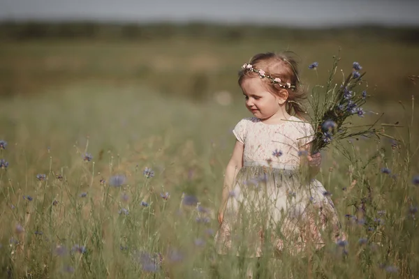 Jong klein meisje met lang haar, witte jurk eenzaam wandelen in het papaverveld en het verzamelen van bloemen voor een boeket — Stockfoto