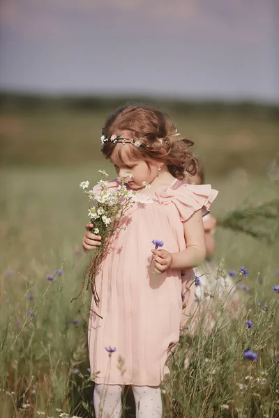 Kleines Mädchen mit langen Haaren, weißem Kleid, das einsam im Mohnfeld spaziert und Blumen für einen Strauß sammelt — Stockfoto