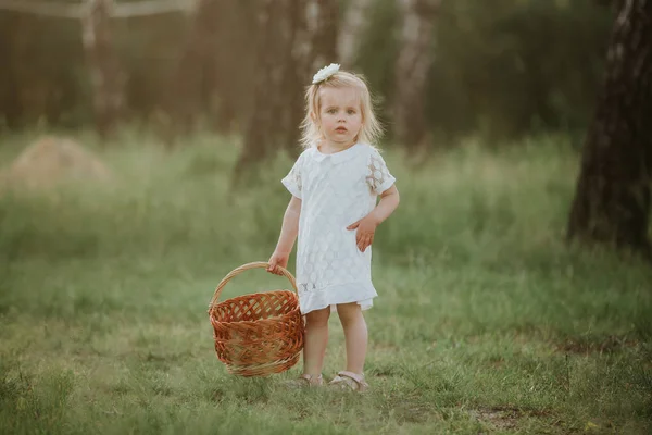 Девочка гуляла в солнечном саду с корзиной. маленькая девочка в белом платье с корзиной в парке — стоковое фото