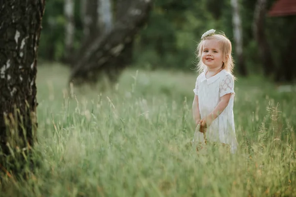 Schönes kleines Mädchen, das in einem sonnigen Garten mit einem Korb spazieren geht. kleines Mädchen im weißen Kleid mit Korb im Park — Stockfoto