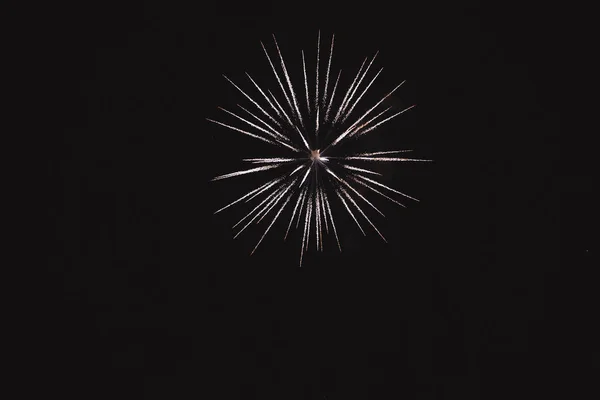 Fogos de artifício coloridos no fundo do céu negro. — Fotografia de Stock