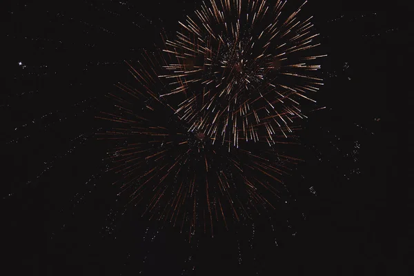 Fogos de artifício coloridos no fundo do céu negro. — Fotografia de Stock