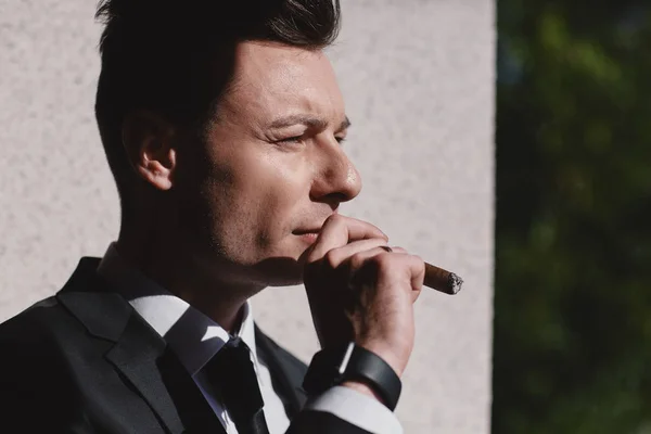 Retrato recortado de hombre de negocios de mirada dura mientras fuma un cigarro cubano . —  Fotos de Stock