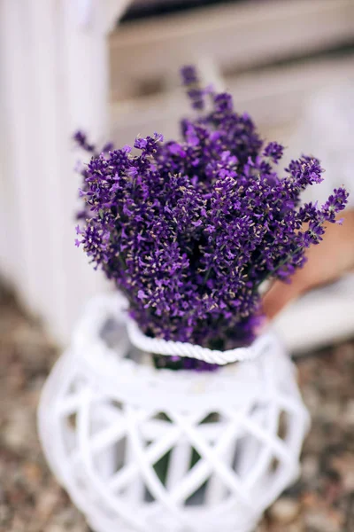 Pilha de buquês de flores de lavanda em um banco velho de madeira em um jardim de verão. buquê de lavanda — Fotografia de Stock