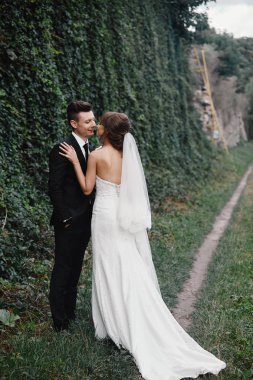 Gelin ve damat bir parkta öpüşme.çift yeni evli gelin ve damat doğa yeşil ormanda bir düğünde fotoğraf portre öpüşme vardır. Düğün çifti. Newlyweds.