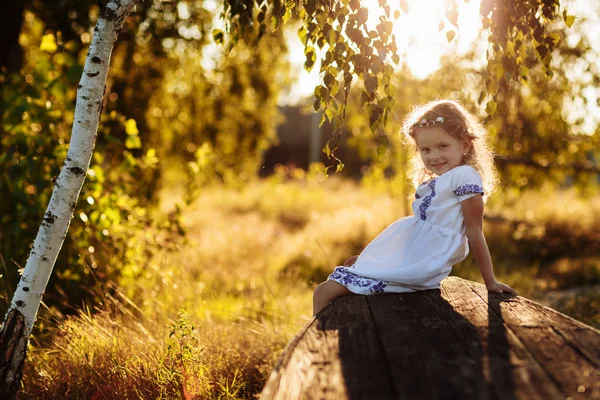 Ragazzina con la preghiera. Pace, speranza, concetto di sogni. ritratto di una piccola bella ragazza nella natura — Foto Stock