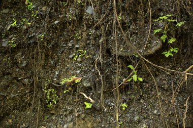 Uçurum toprak ve çim ile kayalık bir tabaka.