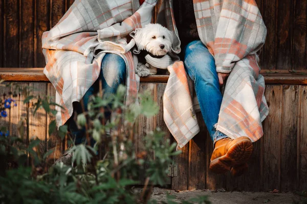 Cropped image of young couple sitting in park in blanket with white dog between them — Stock Photo, Image