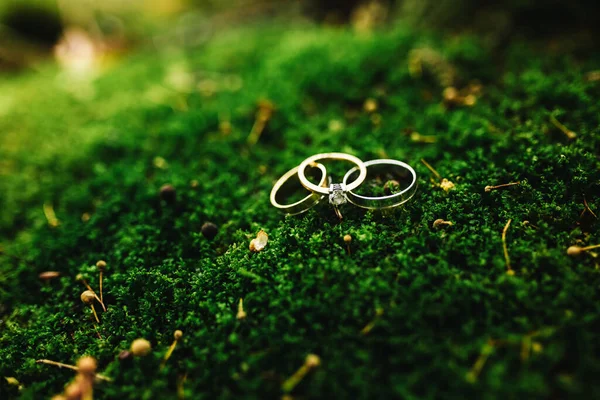 Anneaux Mariage Sur Mousse Verte Dans Forêt — Photo