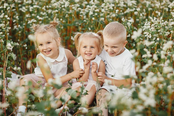 Счастливые дети веселятся на цветущем поле. счастливое детство. — стоковое фото