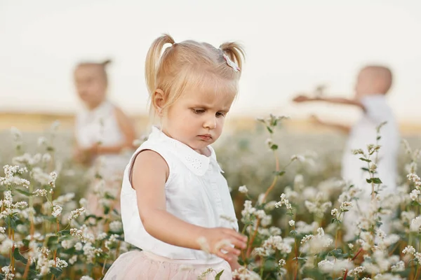 Niños felices divirtiéndose en un campo floreciente. feliz infancia. — Foto de Stock