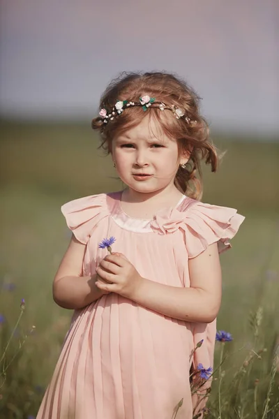 Een klein meisje in een tarweveld. klein meisje met een boeket tarwe in het zonlicht. buitenschot — Stockfoto