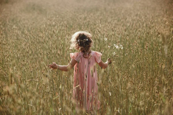 En liten flicka på ett vetefält. liten flicka med en vetebukett i solljuset. utomhus skott — Stockfoto