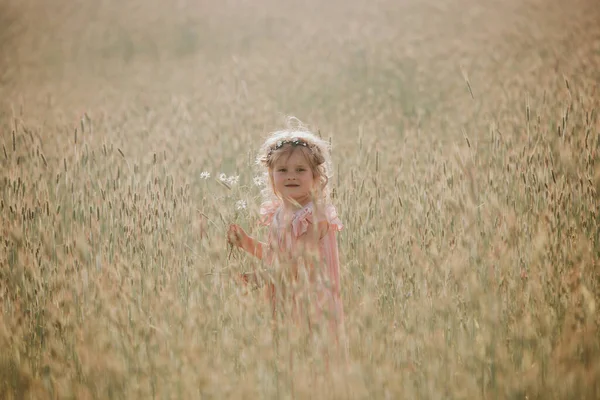 Uma menina num campo de trigo. menina com um buquê de trigo à luz do sol. tiro ao ar livre — Fotografia de Stock