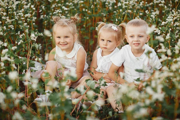 Fröhliche Kinder Die Sich Einem Blühenden Feld Vergnügen Glückliche Kindheit — Stockfoto