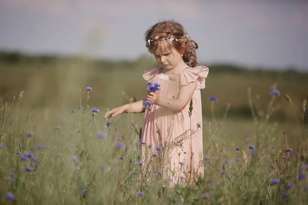Kleines Mädchen Einem Weizenfeld Kleines Mädchen Mit Einem Weizenstrauß Sonnenlicht — Stockfoto