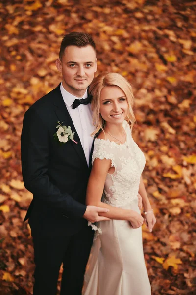 Casamento Feliz Jovem Parque Outono Outono Outono Amarelo Dourado Noiva — Fotografia de Stock