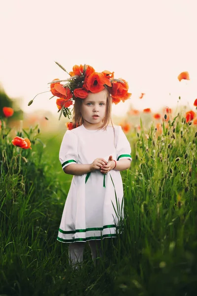 Красива Маленька Дівчинка Вінком Маків Голові Мила Дитина Полі Диких — стокове фото