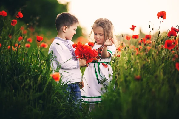 Children Love Little Boy Girl Amicably Spend Time Laugh Smile — Stock Photo, Image