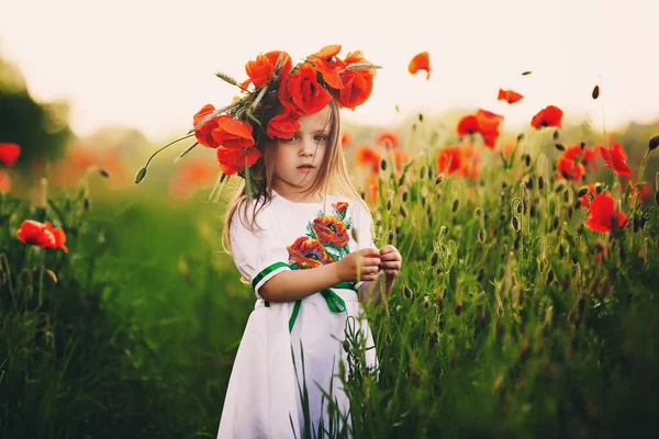 漂亮的小女孩 头上戴着花环 野生罂粟田里可爱的孩子 — 图库照片