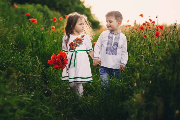 Amor Das Crianças Menino Uma Menina Amigavelmente Passar Tempo Rir — Fotografia de Stock