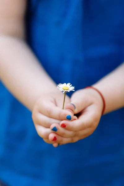 Маленькая Девочка Голубой Блузке Держит Цветок Ромашки Руках Маникюром Весеннем — стоковое фото