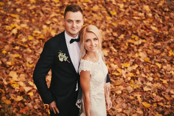 Felice Giovane Coppia Sposata Giallo Dorato Autunno Parco Bella Sposa — Foto Stock