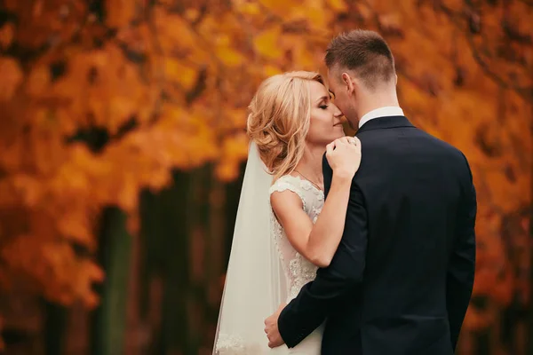 黄金の黄色の秋の公園で幸せな若い夫婦の肖像画 結婚式の日に抱きしめる美しい花嫁とスタイリッシュな新郎 — ストック写真
