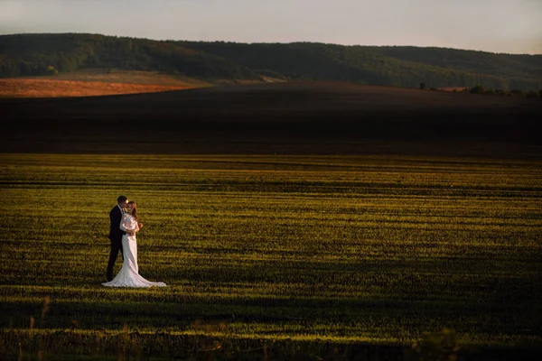 Menyasszony Karjaiban Vőlegény Háttérben Tavaszi Mezők Kék Kilátás Távolról Házasság — Stock Fotó