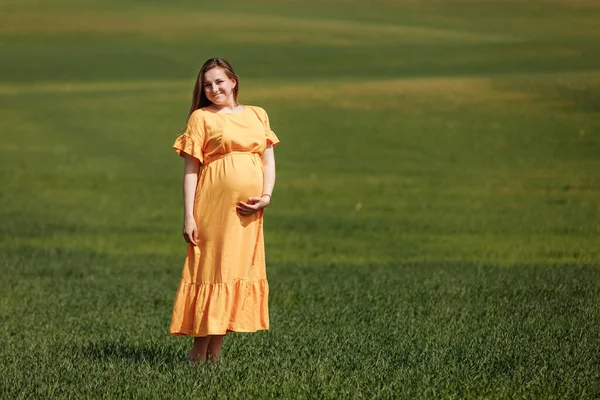Frumoasă Femeie Tânără Însărcinată Rochie Lungă Câmp Verde Ziua Vară — Fotografie, imagine de stoc