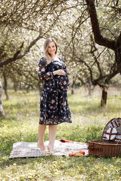 Femeie Gravidă Frumoasă Picnic Într Grădină Primăvară Înfloritoare Maternitate Familie — Fotografie, imagine de stoc