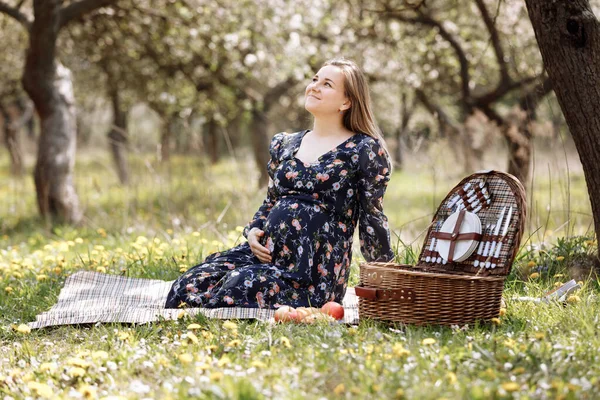 beautiful pregnant woman on a picnic in a blooming spring garden. Motherhood. A family