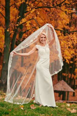 Duvağın altındaki gelinin güzel bir portresi. Profesyonel makyajlı ve saç stili olan zarif bir kadın. Bir duvağın altına gizlenmiş narin gelinlerin ellerinin fotoğrafı. Düğün günü. Evlilikten. Moda Gelini