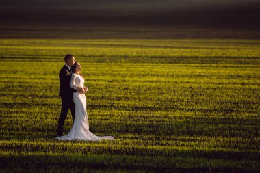 Gelin, damadın kollarında bahar tarlalarının ve mavi gökyüzünün arka planında. Uzaktan bak. evlilik.