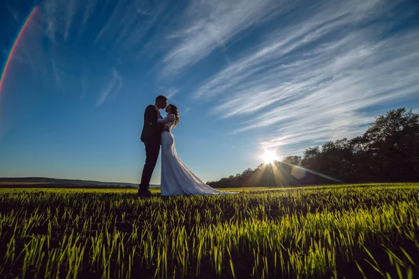 Güzel genç bir çift, gelin ve damat güneşli bir havada yürüyorlar. Gelinlik giymiş bir adam ve kadın mavi bir arka planda poz veriyorlar ve doğa birbirine bakıyor..