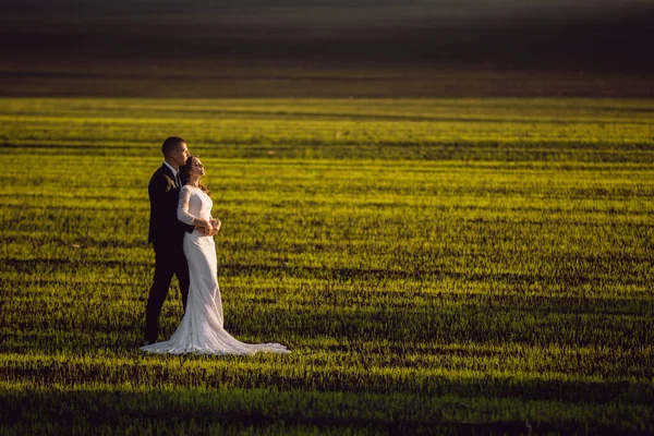 Gelin, damadın kollarında bahar tarlalarının ve mavi gökyüzünün arka planında. Uzaktan bak. evlilik.