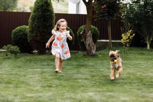 Söt Liten Flicka Leker Med Sin Hund Outdooors Gräs Hemma — Stockfoto