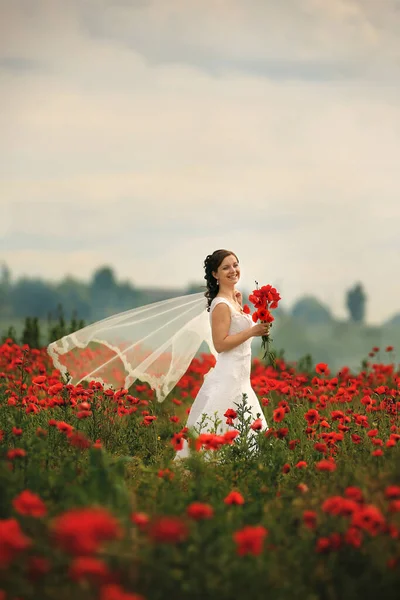 Kırmızı Haşhaş Demetli Beyaz Elbiseli Gelin Büyük Kırmızı Haşhaş Tarlasının — Stok fotoğraf