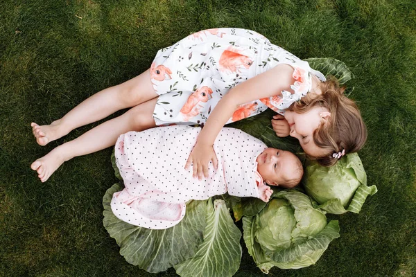 Милая Маленькая Девочка Своей Младшей Новорожденной Сестрой Лежат Траве Капустой — стоковое фото
