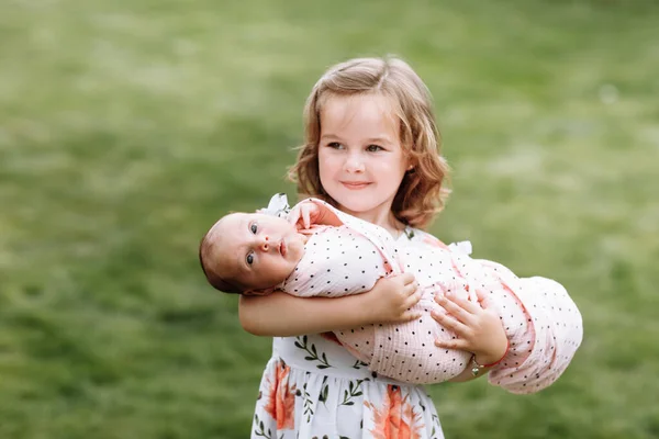 Милая Маленькая Девочка Держит Свою Младшую Новорожденную Сестру Открытом Воздухе — стоковое фото