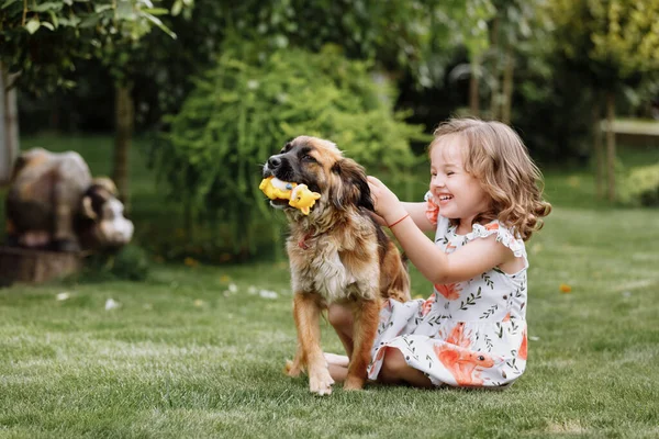 Söt Liten Flicka Leker Med Sin Hund Outdooors Gräs Hemma — Stockfoto