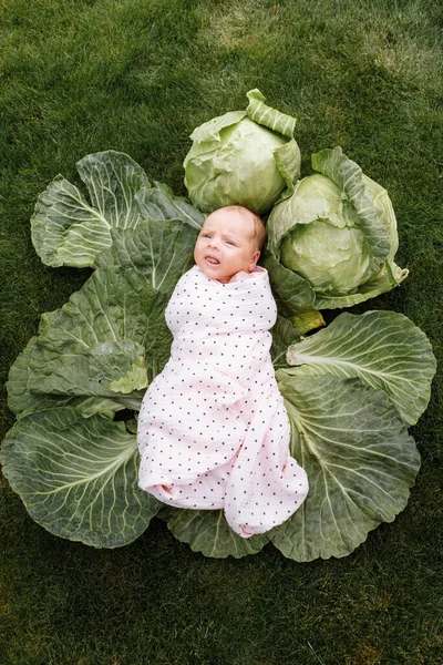 Fille nouveau-né 3 mois est couché dans un chou vert. Des légumes. enfance heureuse — Photo