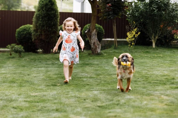 En söt liten flicka leker med sin hund outdooors på gräs hemma. selektivt fokus. — Stockfoto