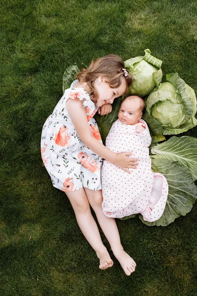 Linda niña con su hermana recién nacida más joven están tumbados en la hierba con coles al aire libre. Relaciones entre parientes. Dos hermanas se aman. estilo de vida familiar —  Fotos de Stock