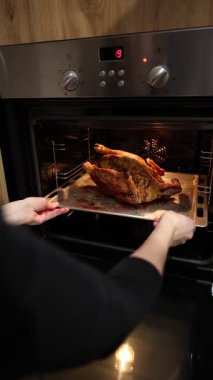 Noel şenliği, ördeğin tamamını ev mutfağında açık fırında alüminyum çelikten pişirme çarşafında kızartır. Tepside altın hindi ya da kaz hazır olsun. Klasik Amerikan Şükran Günü yemeği hazırlığı..